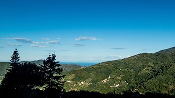 Oasi Verde