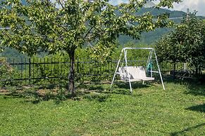 Oasi Verde