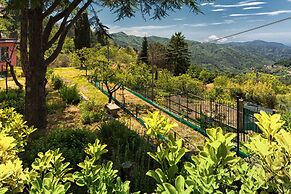 Oasi Verde