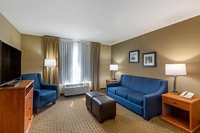Comfort Inn & Suites Marion I-57