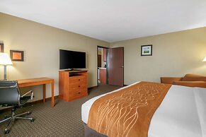 Comfort Inn & Suites Marion I-57