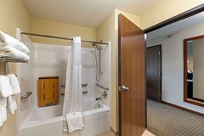 Comfort Inn & Suites Marion I-57