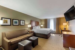Comfort Inn & Suites Marion I-57