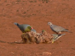 Ohange Namibia Lodge