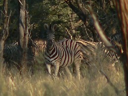 Ohange Namibia Lodge
