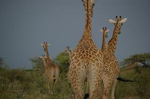 Ohange Namibia Lodge