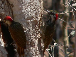 Ohange Namibia Lodge