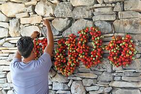 Lama di Luna Biomasseria