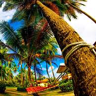 Hotel Cocomar Beachfront Hotel