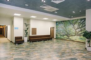 SkyPoint Sheremetyevo Hotel