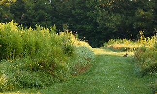 The Inn At Honey Run