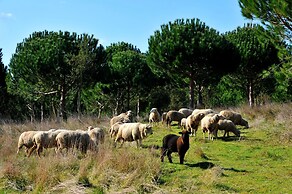 DOMA Portugal