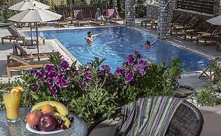 Vassilis Guest House