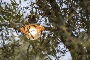 Vassilis Guest House