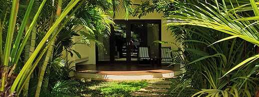 Navutu Dreams Resort & Wellness Retreat