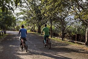 The Fern Samali Resort