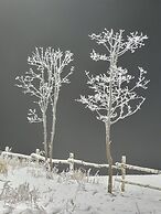 Phoenix Resort Pyeongchang