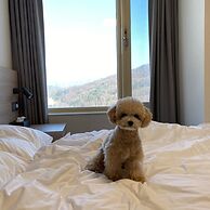 Phoenix Resort Pyeongchang