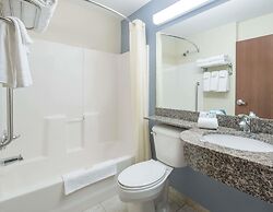Microtel Inn & Suites by Wyndham Stanley