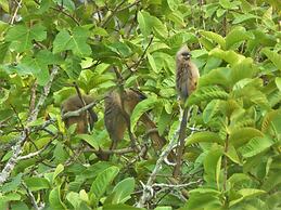 Swellendam Country Lodge