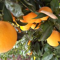 Swellendam Country Lodge