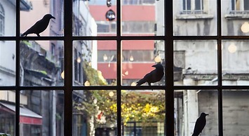 SuB Karaköy - Special Class