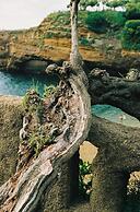 Alfred Hotels Les Halles