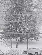 The Proctor Mansion Inn