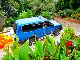 Korovesi Sunshine Villas