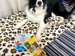 ibis Styles Walbrzych