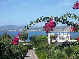 George Beach Studios