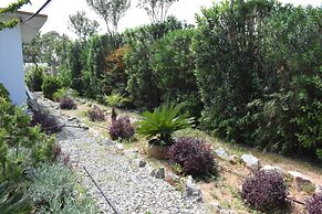 George Beach Studios