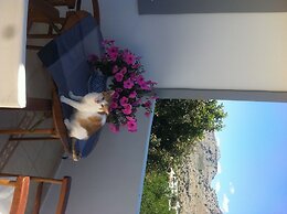 George Beach Studios