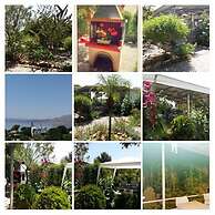 George Beach Studios