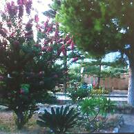 George Beach Studios