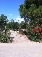 George Beach Studios