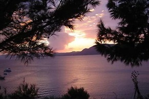 George Beach Studios