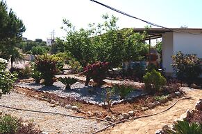 George Beach Studios