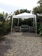 George Beach Studios