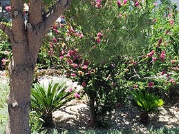 George Beach Studios