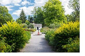 Staybridge Suites Hamilton Downtown by IHG