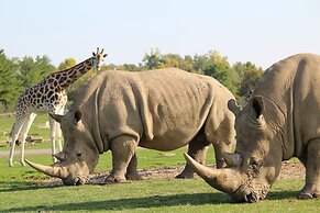 Staybridge Suites Hamilton Downtown by IHG