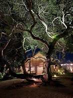 Pousada Chica Pitanga