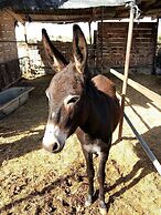 Romios Holiday Apartments