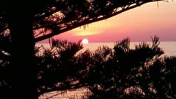 SUITEBEACH b&b and resort