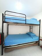 Posada Nativa Lizard House