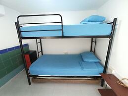 Posada Nativa Lizard House