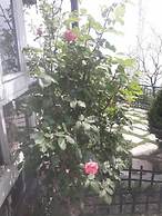 Hotel Snow King Retreat