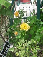 Hotel Snow King Retreat