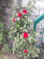 Hotel Snow King Retreat